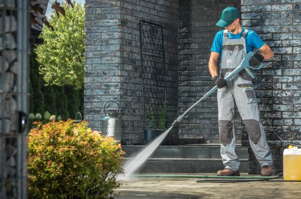 Best Animal Enclosure Cleaning  in Rio Pinar, FL