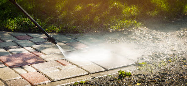 Best Solar Panel Cleaning  in Rio Pinar, FL